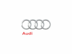 PLECHOVÉ DISKY AUDI