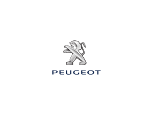 PLECHOVÉ DISKY PEUGEOT