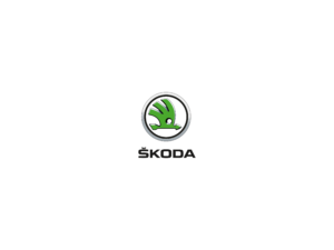 PLECHOVÉ DISKY SKODA