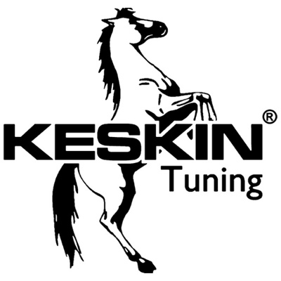 disky_keskin_logo