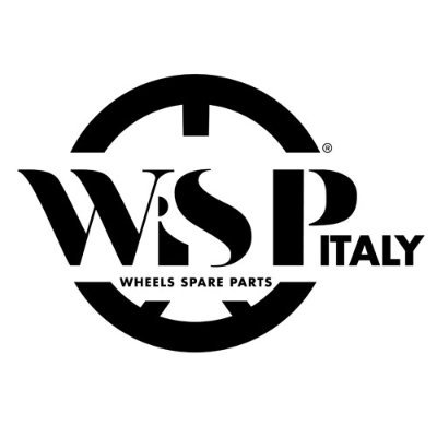 disky_wsp_logo