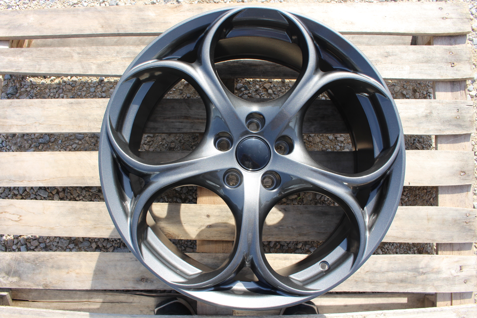 WSP W258 FEDRO ALFA ROMEO - disk špeciálne pre Alfistov